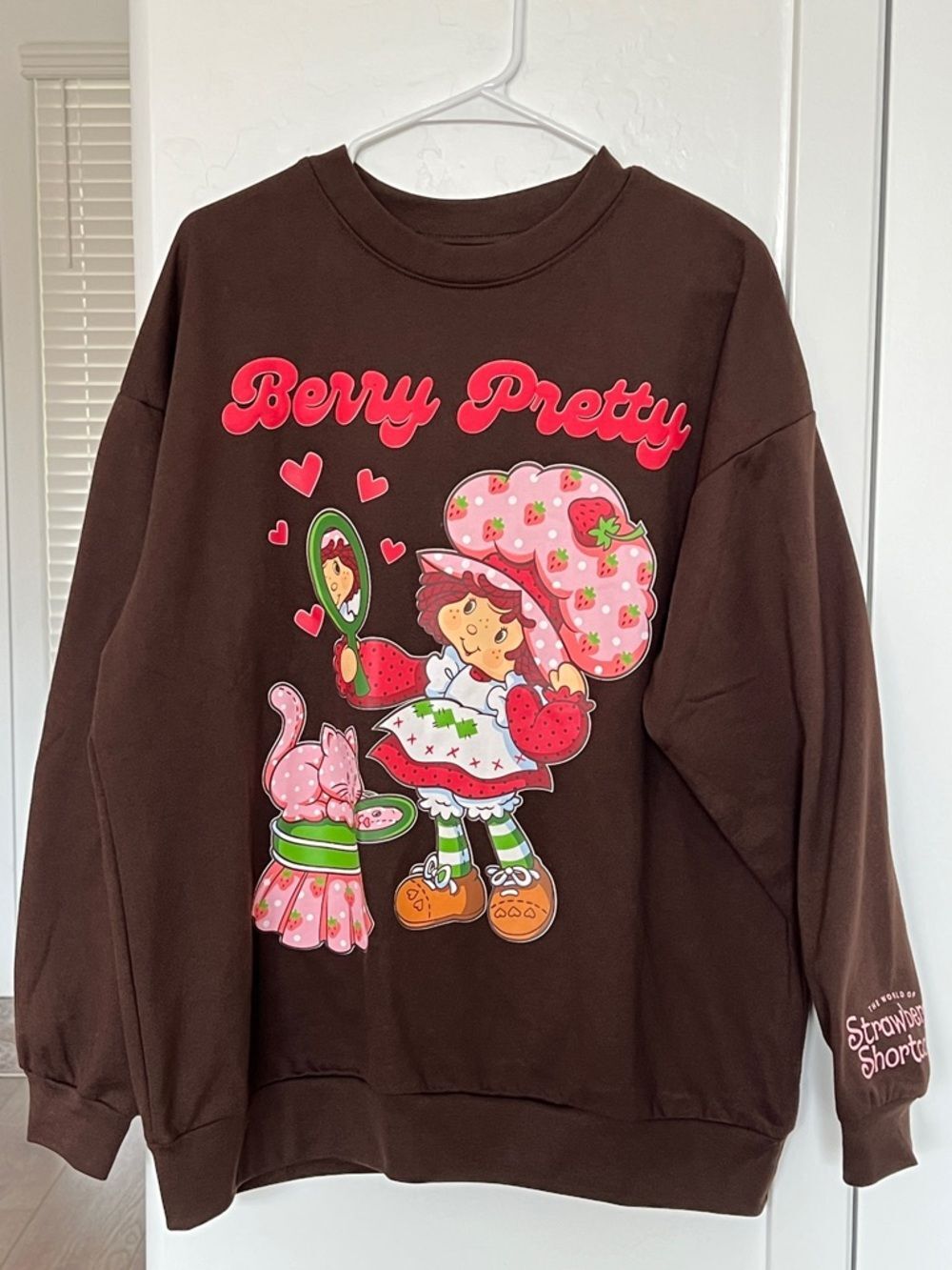 Strawberry Shortcake  women's Sweater